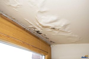 عیب یابی رطوبت در ساختمان