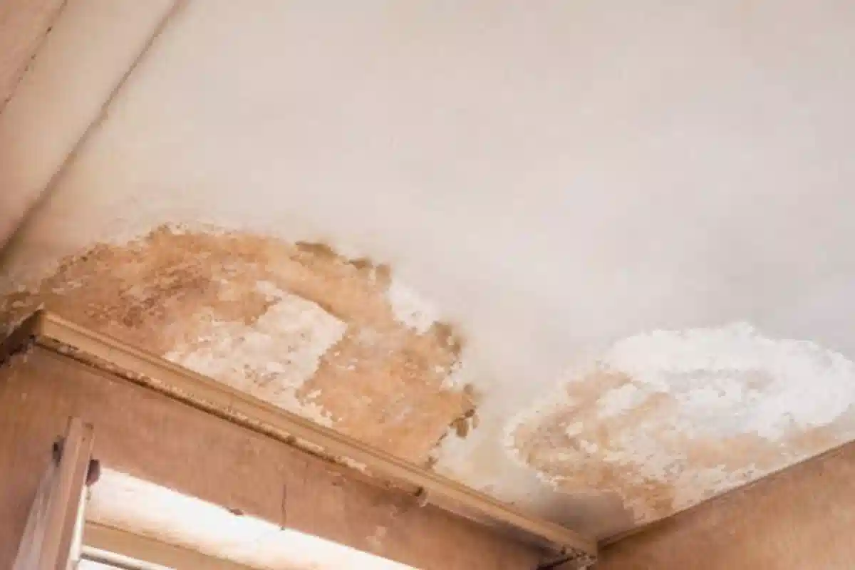 عیب یابی رطوبت در ساختمان